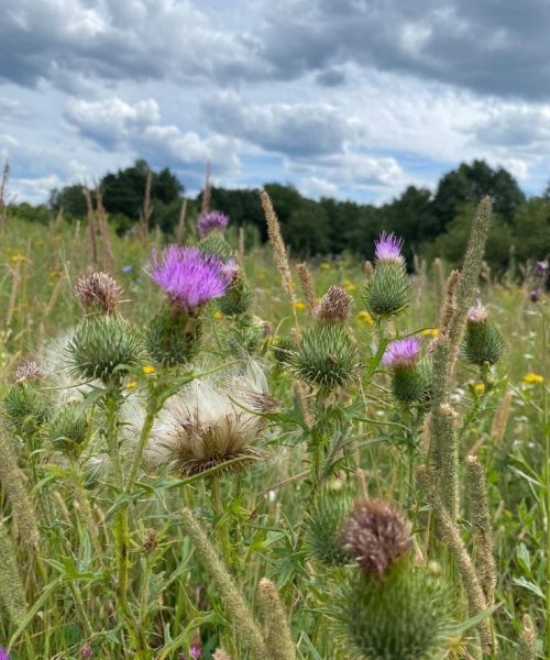 5d7d49c39fac5167d5c160dc0442b91a