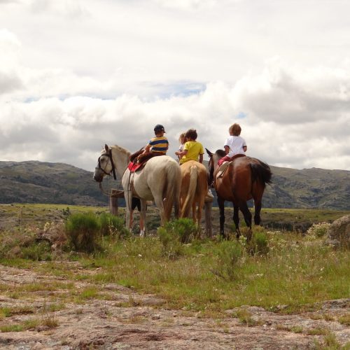 DSC00984_20200710132003